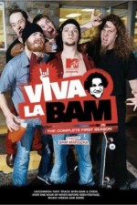 Watch Viva la Bam Megavideo